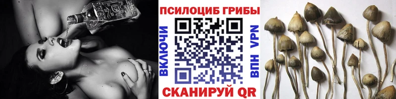 Галлюциногенные грибы Magic Shrooms  Змеиногорск 
